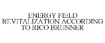 ENERGY FIELD REVITALIZATION ACCORDING TO RICO BRUNNER