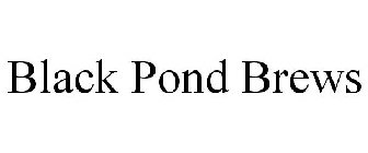 BLACK POND BREWS