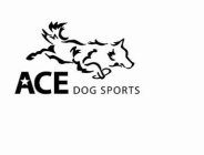 ACE DOG SPORTS