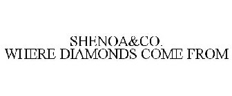 SHENOA&CO. WHERE DIAMONDS COME FROM