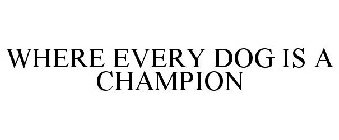 WHERE EVERY DOG IS A CHAMPION