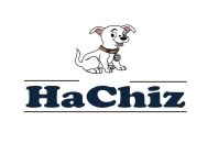 HACHIZ SAY CHIZ