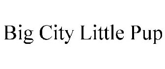 BIG CITY LITTLE PUP