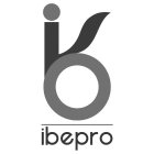 IB IBEPRO
