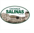 CACHAÇA SALINAS DESDE 1989