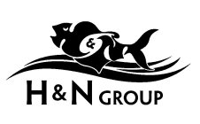 H & N GROUP