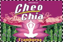 ORGANICO CHEO CHIA FRAMBUESA