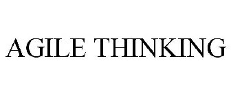 AGILE THINKING