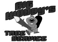 BIG WOODY'S TREE SERVICE