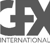 GFX INTERNATIONAL