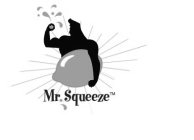 MR. SQUEEZE