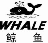 WHALE