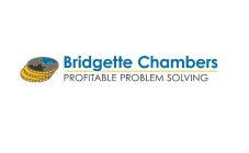 BRIDGETTE CHAMBERS PROFITABLE PROBLEM SOLVING