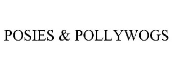 POSIES & POLLYWOGS