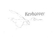 KEYHOPPER