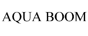 AQUA BOOM