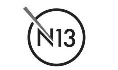 N 13