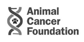 ANIMAL CANCER FOUNDATION