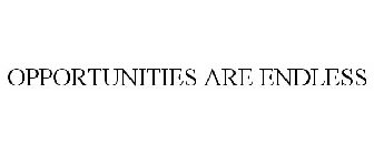OPPORTUNITIES ARE ENDLESS