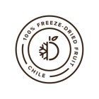 100% FREEZE · DRIED FRUIT CHILE