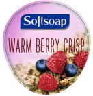 SOFTSOAP WARM BERRY CRISP