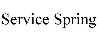 SERVICE SPRING CORP