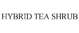 HYBRID TEA SHRUB