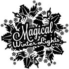 MAGICAL WINTER LIGHTS