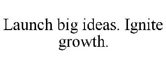 LAUNCH BIG IDEAS. IGNITE GROWTH.