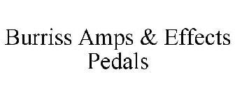 BURRISS AMPS & EFFECTS PEDALS
