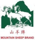 MOUNTAIN SHEEP BRAND