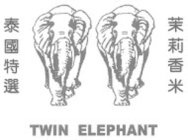 TWIN ELEPHANT