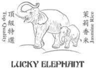 LUCKY ELEPHANT TOP QUALITY JASMINE RICE