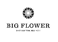 BIG FLOWER EAST HAMPTON, NEW YORK