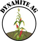DYNAMITE AG