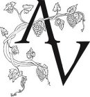 AV