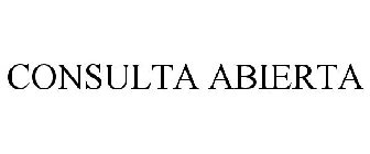 CONSULTA ABIERTA