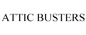 ATTIC BUSTERS
