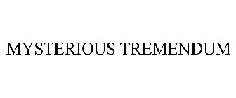 MYSTERIOUS TREMENDUM