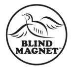 BLIND MAGNET