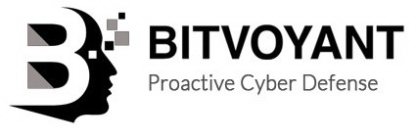 B BITVOYANT PROACTIVE CYBER DEFENSE