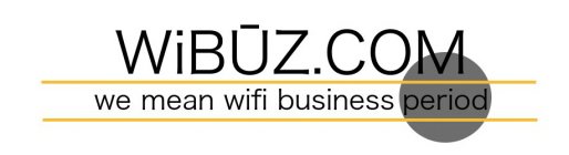 WIBUZ.COM WE MEAN WIFI BUSINESS PERIOD