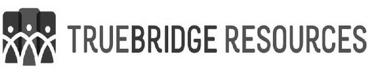 TRUEBRIDGE RESOURCES