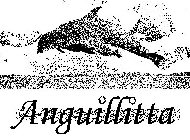 ANGUILLITTA