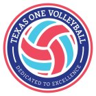 TEXAS ONE VOLLEYBALL DEDICATED TO EXCELLENCE