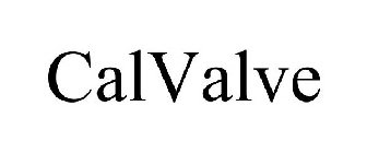 CALVALVE