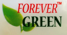 FOREVER GREEN