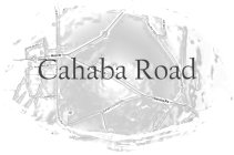 CAHABA ROAD, ORRVILLE, MAIN ST, ACADEMY ST, CHURCH ST, DALLAS COUNTY 115, DALLAS COUNTY 122, CO RD 122, RD 345, 22
