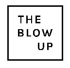 THE BLOW UP