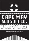 CAPE MAY SEA SALT CO. HAND HARVESTED FRESH FROM THE SEA